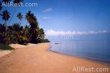 Coconut Laguna 20